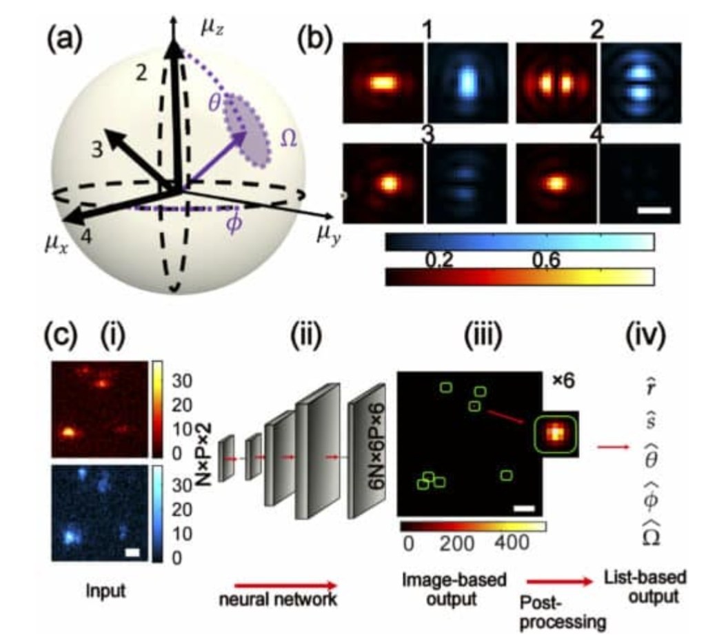 Using Machine Learning Algorithm To Produce 5D Images Of&nbsp;Proteins